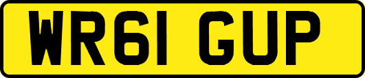 WR61GUP