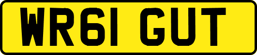 WR61GUT