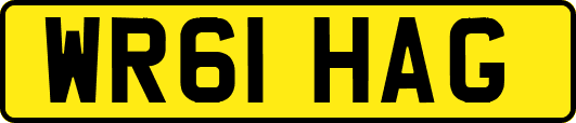 WR61HAG