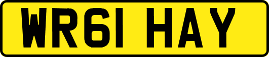 WR61HAY