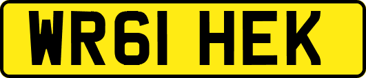 WR61HEK