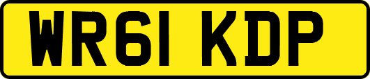 WR61KDP