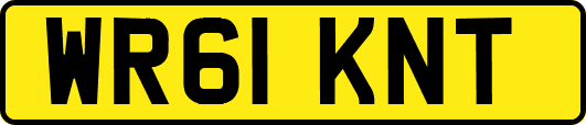 WR61KNT