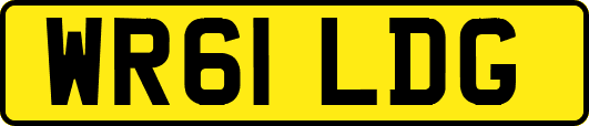 WR61LDG