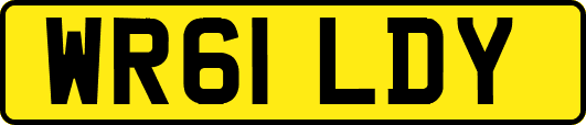 WR61LDY