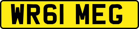 WR61MEG