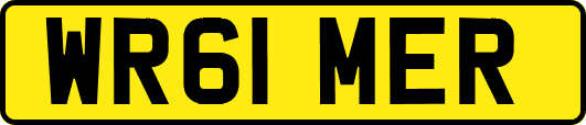 WR61MER