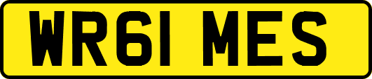 WR61MES