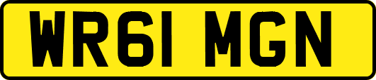 WR61MGN