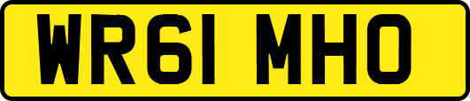 WR61MHO
