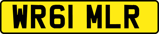 WR61MLR