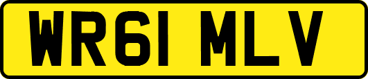 WR61MLV
