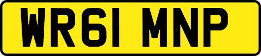 WR61MNP