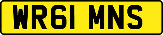 WR61MNS