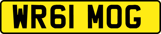 WR61MOG