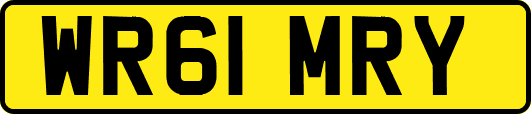 WR61MRY