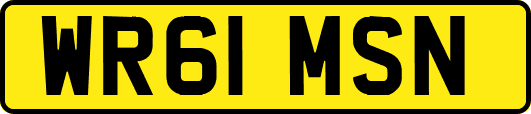 WR61MSN