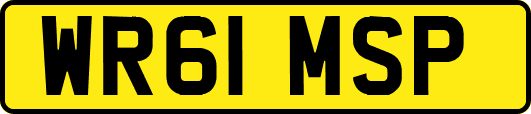 WR61MSP