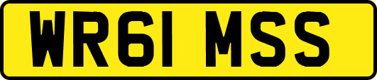 WR61MSS