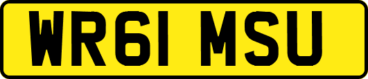 WR61MSU
