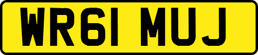 WR61MUJ