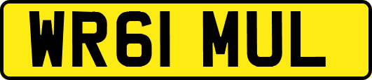 WR61MUL