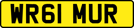 WR61MUR
