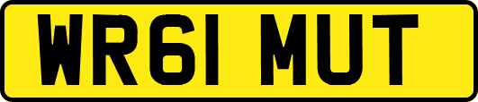WR61MUT