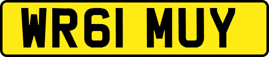 WR61MUY