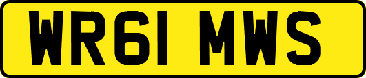 WR61MWS