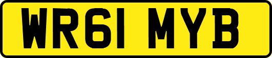WR61MYB