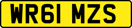WR61MZS
