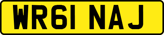 WR61NAJ