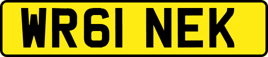 WR61NEK