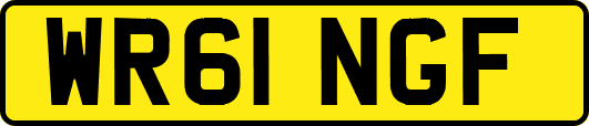 WR61NGF