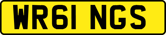 WR61NGS