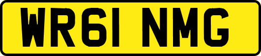 WR61NMG
