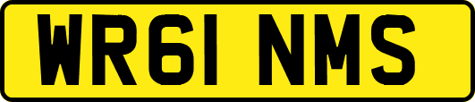 WR61NMS