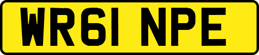 WR61NPE