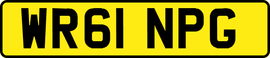 WR61NPG