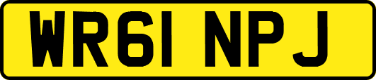 WR61NPJ