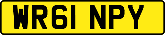 WR61NPY