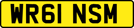 WR61NSM