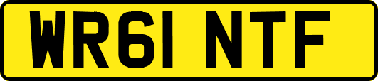 WR61NTF