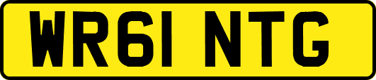 WR61NTG