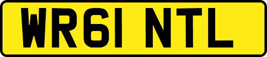 WR61NTL