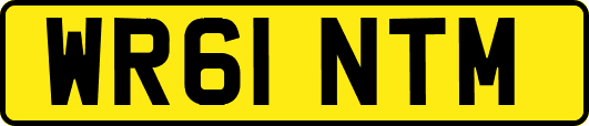 WR61NTM
