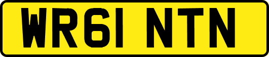 WR61NTN