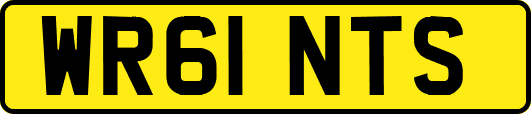 WR61NTS