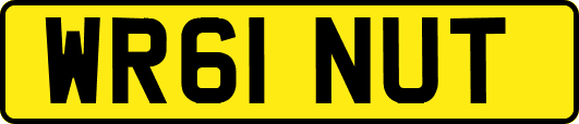 WR61NUT